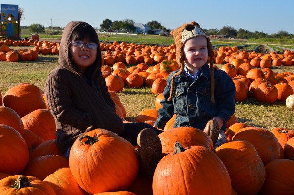 pumpkin kids