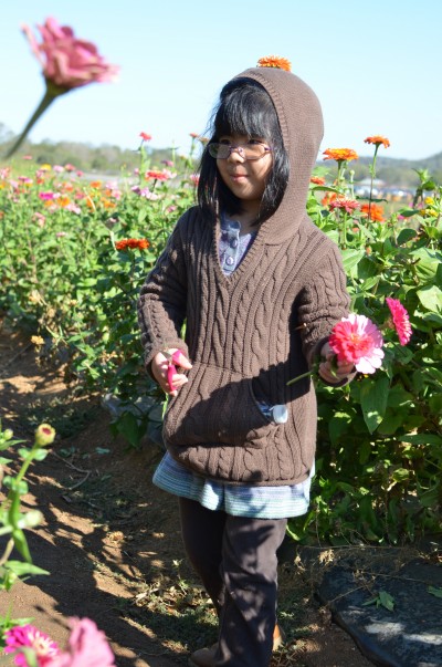 flower farm
